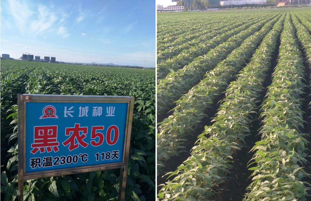 1553744632610807.jpg 50.jpg