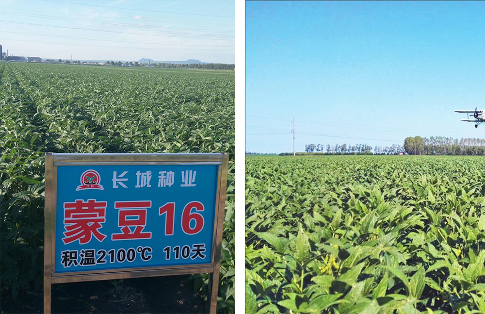 1553762267360534.jpg 111.jpg