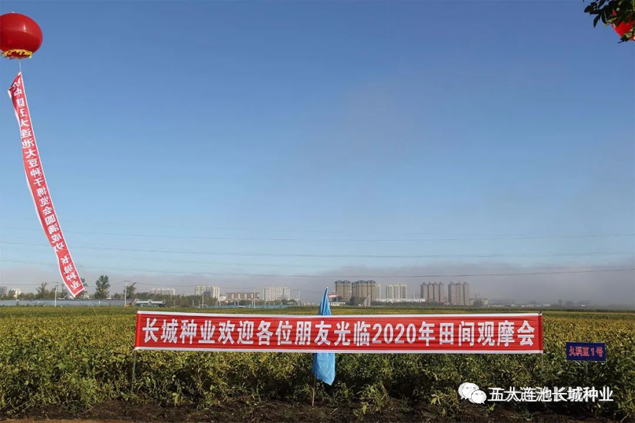 1600655814614782.png 1.png